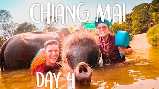 CHIANG MAI ELEPHANT RESCUE PARK | THAILAND VLOG DAY 4