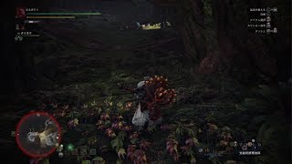 リオレウス×古代樹の森×20分=くたばれ