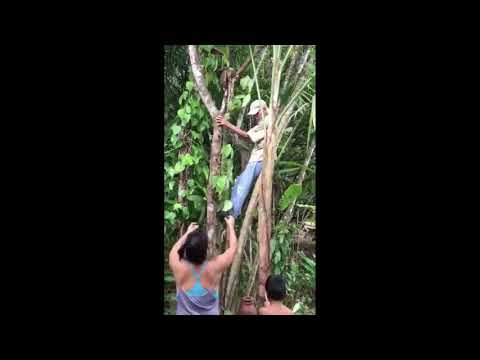 Don Bing, Pavones Costa Rica 2021