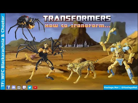 Transformers Kingdom Deluxes Blackarachnia & Cheetor