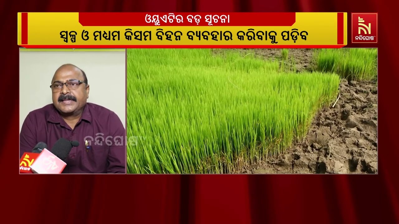ଓୟୁଏଟିର ବଡ଼ ସତର୍କବାଣୀ ;  ଅଗଷ୍ଟ-ସେପ୍ଟେମ୍ବରରେ କମିବ ବର୍?