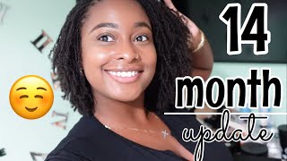 Sisterlocks on Thin Hair - 14 Month Update