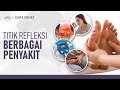 Titik Refleksi Untuk Asma Asam Lambung Diabetes Hingga Disfungsi Ereksi Hidup Sehat TvOne
