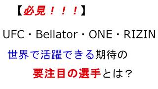 【必見！知らないと損をする】UFC・Bellator・ONE・RIZIN　世界で活躍できる期待の要注目の選手とは？