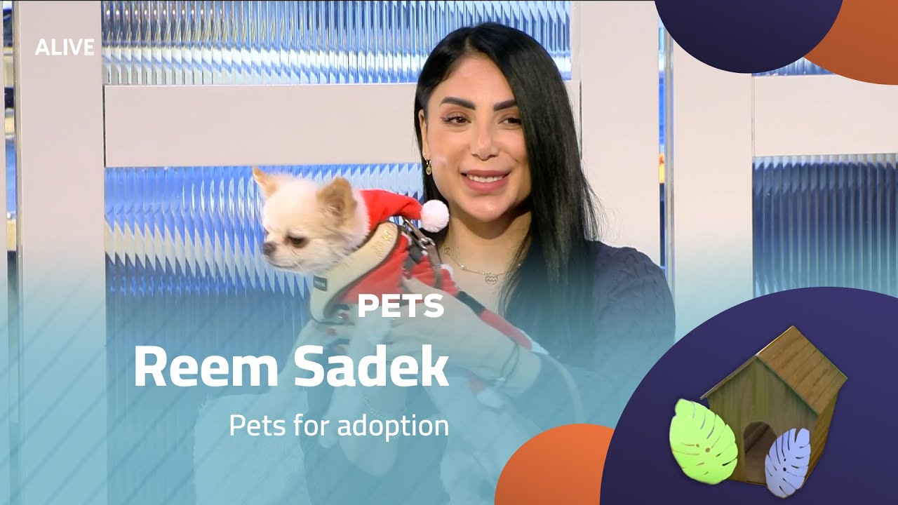 Pets - 24/12/2025 - Reem Sadek - Pets for adoption