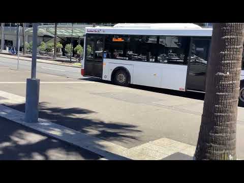 Punchbowl Bus Co 9103 Scania K280UB Volgren CR228L