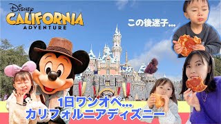 カリフォルニアディズニーワンオペして無事倒れた