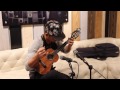 Jake Shimabukuro "Akaka Falls" and "Hi'ilawe" - Conference Room Session
