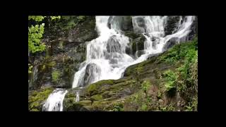 Download lagu MASTERAN BURUNG 3 IN 1//SUARA GEMERCIK AIR MENGALIR JANGKRIK VS BELALANG/terapi burung stres.NEW mp3