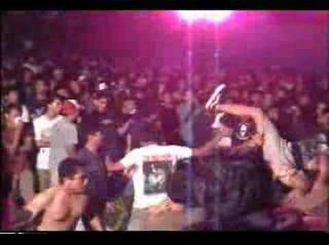 CASSANDRA "Dying Tulips Are Grand"