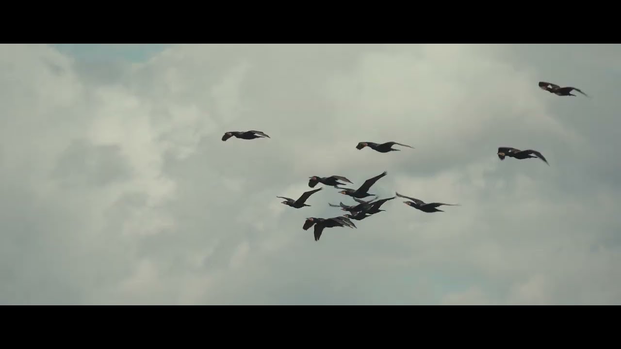 InFlevoland Header Leef