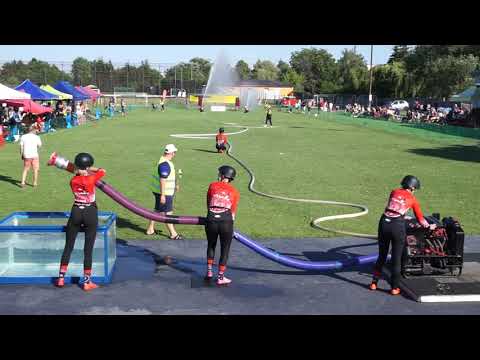 DHZ Vydrany koncoročné video 2022