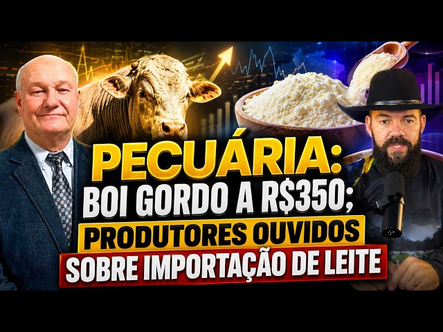 Pecuária: Boi Gordo a R$350; Produtores ouvidos sobre importação de leite.