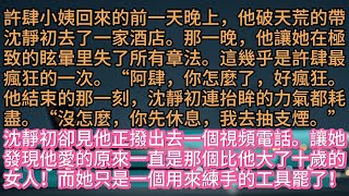 《情到濃時情轉空》許肆小姨回來的前一天晚上，他破天荒的帶沈靜初去了一家酒店。那一晚，他讓她在極致的眩暈里失了所有章法。這幾乎是許肆最瘋狂的一次。“阿肆，你怎麼了，好瘋狂。他結束的那一刻，沈靜初連抬眸的