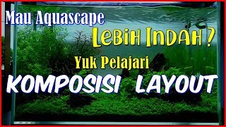 Komposisi Layout Aquascape - Menentukan Hasil Akhir