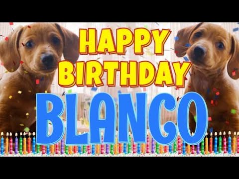 Happy Birthday Blanco! ( Funny Talking Dogs ) What Is Free On My Birthday