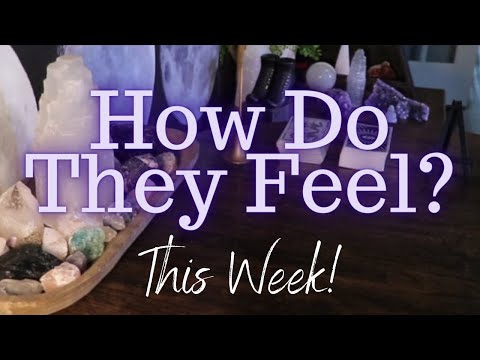 ALL SIGNS: Their FEELINGS For YOU This WEEK!!