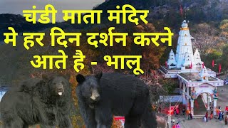 Temple video