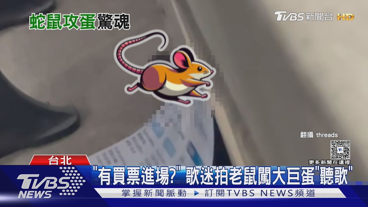 SJ開唱! 網友拍大巨蛋「鼠竄」 停車場「見蛇」?!