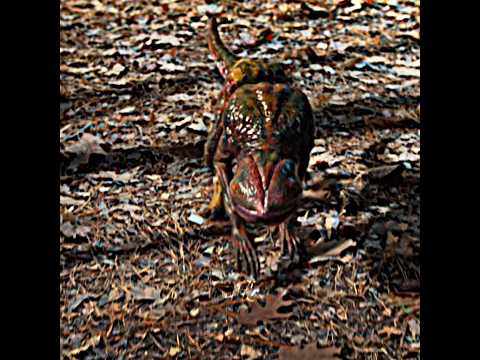 Dustin Traps the 💀 Demogorgon | Stranger Things Iconic Scene #strangerthings #dustinhenderson