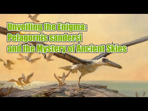 Unveiling the Enigma: Pelagornis sandersi and the Mystery of Ancient Skies