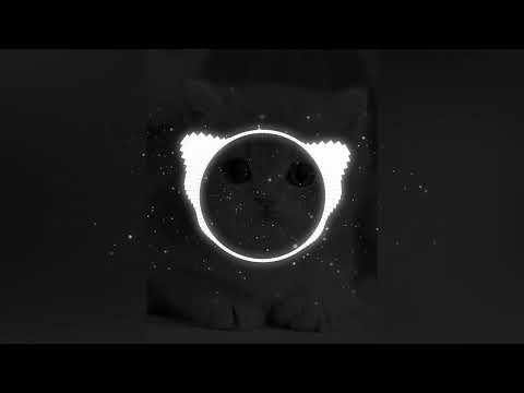 Automotivo Magia Terrorifica (Slowed Reverb)