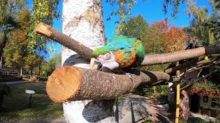 Wolkeplatz im Eifel Zoo - Miljö