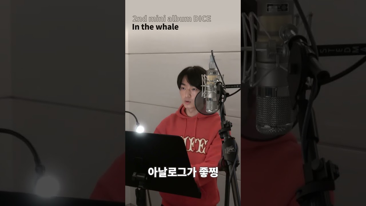아날로그가 좋찡 | In the whale (Recording Behind)