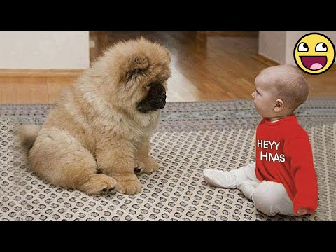 Heartwarming Baby & Dog Moments That Brighten Your Whole Day ☀️🐾