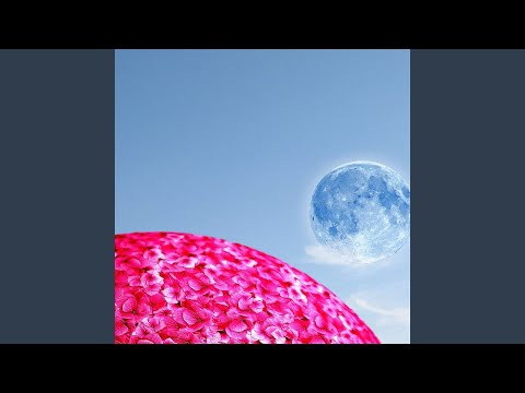 Boxes and Amps - Rob Smith remix