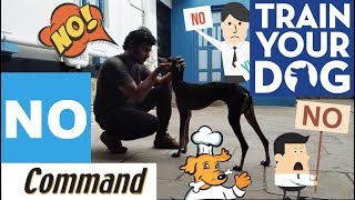 Easy Way To Teach "No" Command To Your Dog