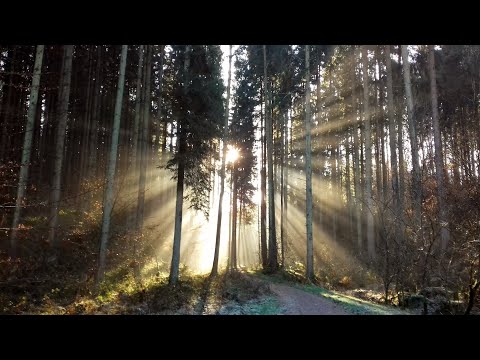 Meditative Wanderung