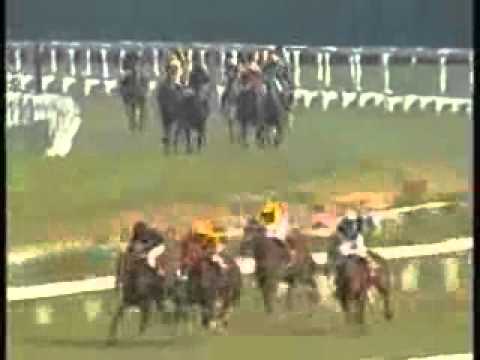 One more winner for Sunday Doubt as Kingston finally breaks his duck at Calcutta