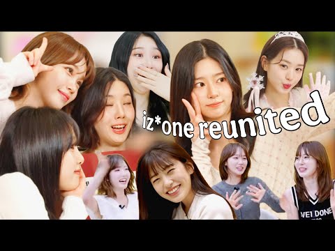 IZ*ONE REUNITED! former members interactions compilation(Sakura, Chaewon, Eunbi, Yena, Hitomi, etc.)