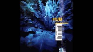 The Scientists - Hum - [Studio Version]