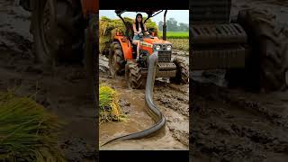 Download lagu Wow, seorang gadis cantik mengendarai traktor, seekor belut muncul di sawah #views #videos #viralreels mp3 Download lagu Wow, seorang gadis cantik mengendarai traktor, seekor belut muncul di sawah #views #videos #viralreels mp3