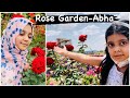 Rose Garden and Factory,  Khamis Mashait, Abha, KSA |   حديقة الورود - خميس مشيط |  SistaDrizzles |