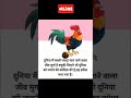 True Words 100 Motivational WhatsApp Status Video Shorts Trueline Viral Motivationalstatus