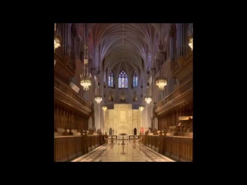 Moguai & Michael Woods vs. Origene - Oyster Sanctuary (Myon & Shane 54 Mashup)