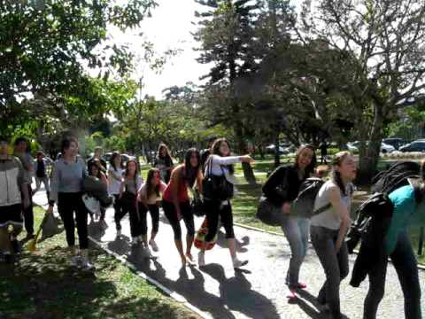 Trote Jornalismo UFSC 2010/2 - Rumo ao C.A.