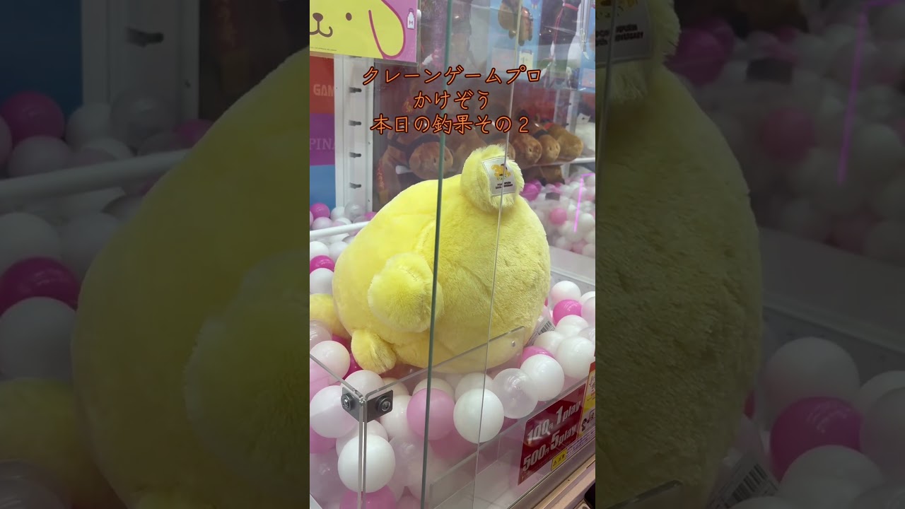 クレーンゲームプロ 風の王 かけぞう 本日の釣果その2