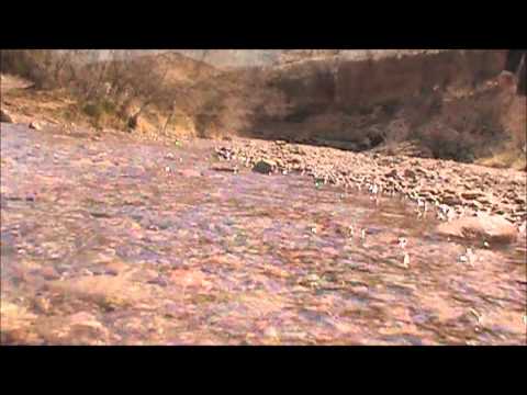 La Luz Canyon Video 1