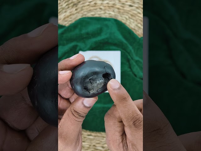 Sudarshan Chakra Lord Vishnu Shaligram Shila video