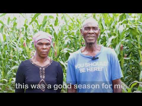 SC 727, SC 661, SC 555 & SC 419 testimonial-Spreading risk in an El-Nino induced season-Rainfed crop