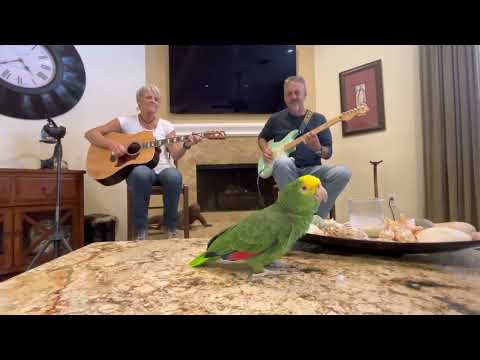 Sweet Home Alabama (feat. Lisa Rott)