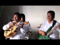 Las tres huastecas - Los Hermanos Gabriel.wmv
