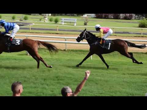 Lóverseny Barbadoson