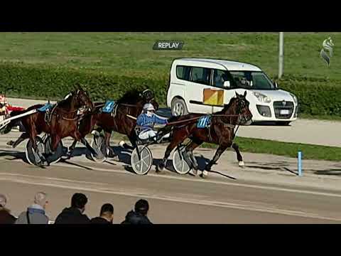 Aversa trotto 11 Gennaio 2023 - 4° corsa