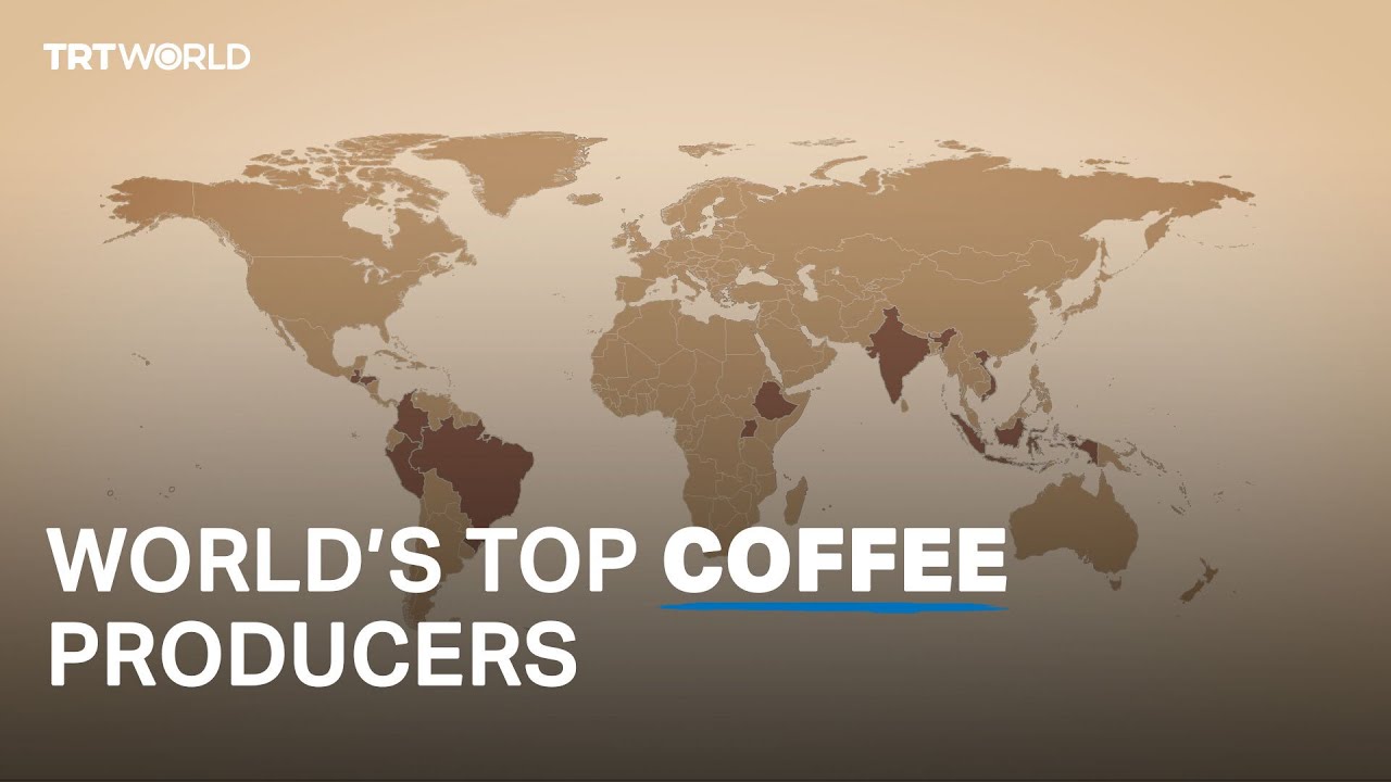Who are the largest coffee producers in the world?