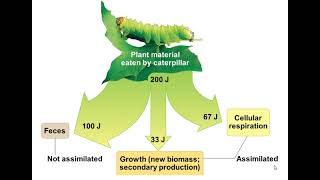 Chapter 55: Ecosystems and Restoration Ecology